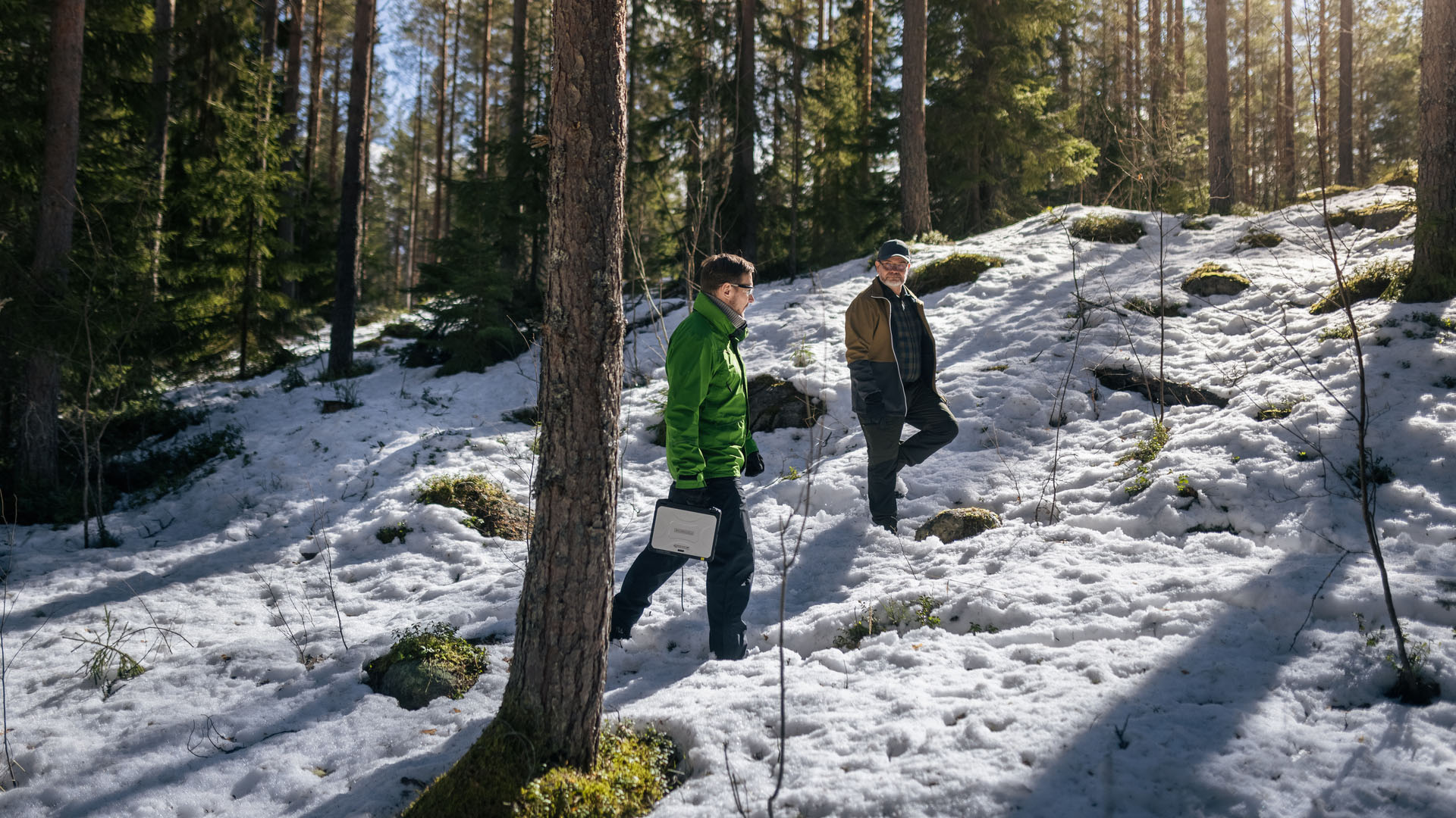 Alueiden puumarkkinakatsaukset on päivitetty