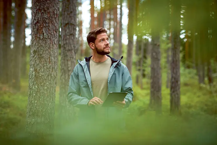 Miten hoidan metsää verkossa?