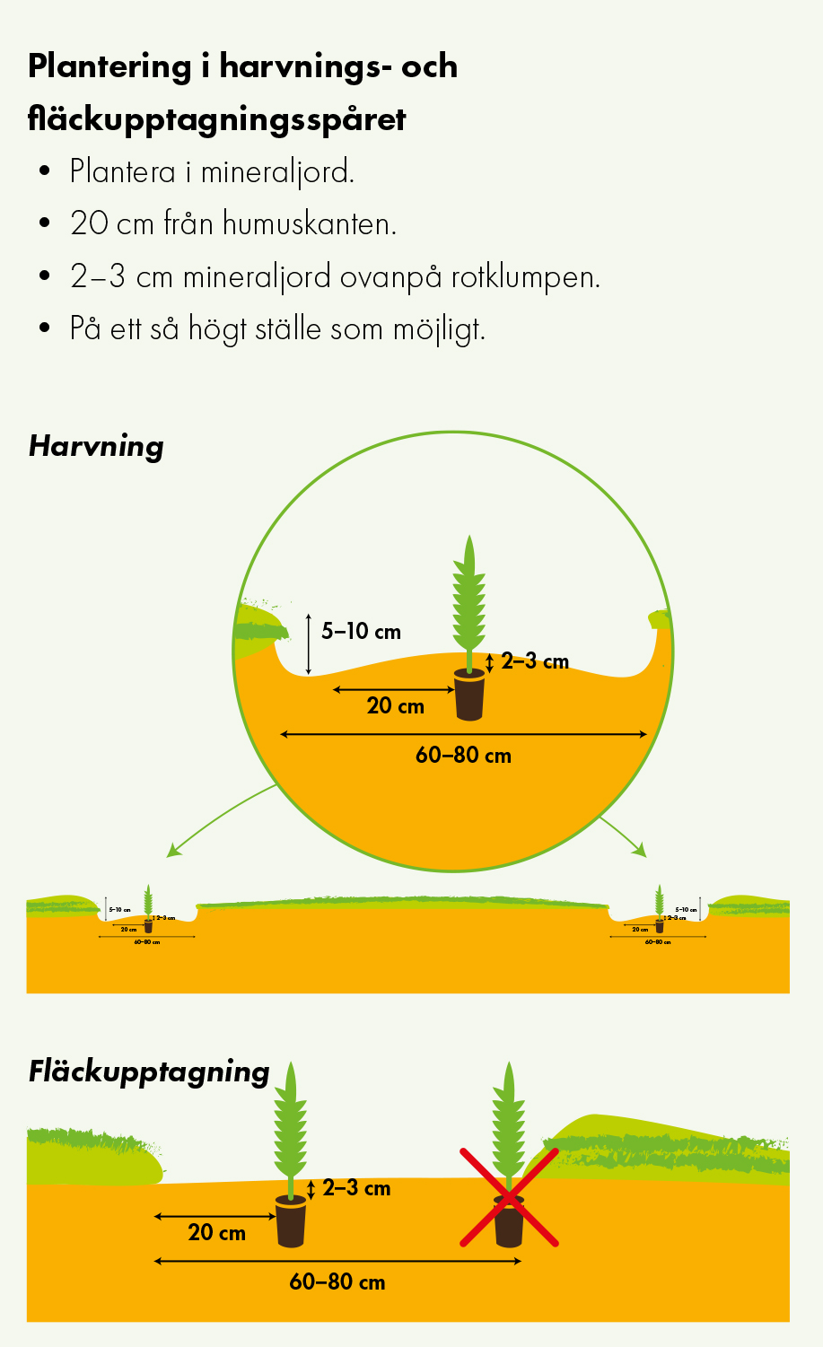 aestys-laikutus-upm-skog.jpg