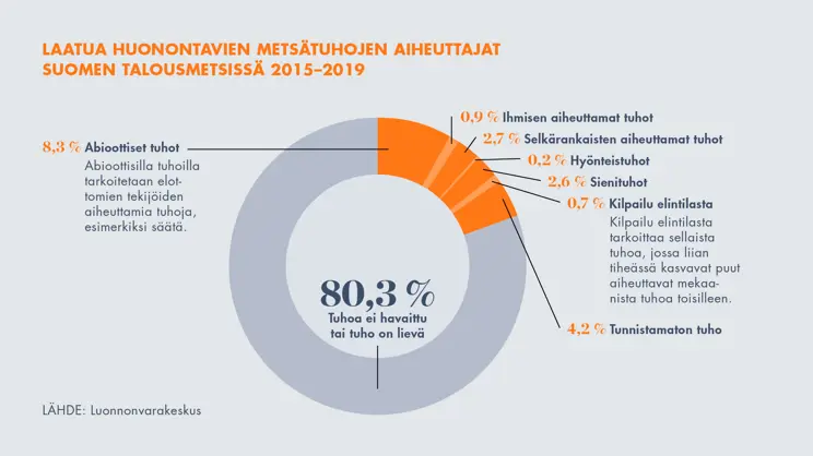 Metsätuhojen ehkäisy edellyttää hyvää metsänhoitoa