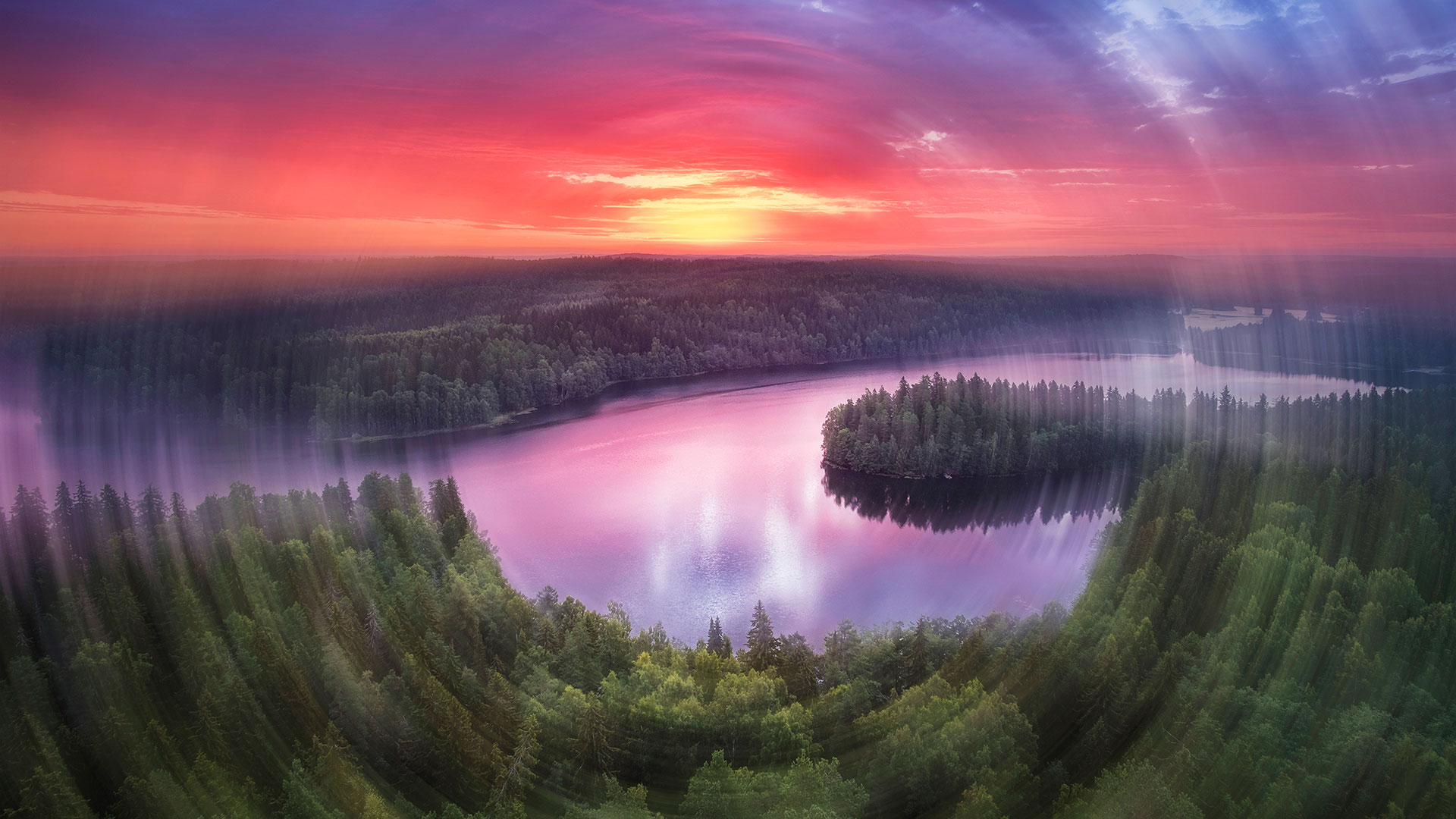 Tulevaisuuden metsät vaativat tehokasta hoitoa | UPM Metsä