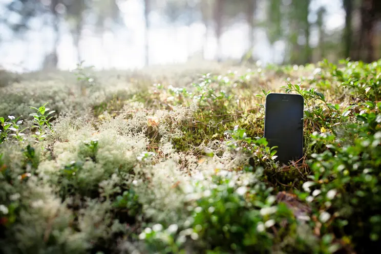 Digiddyy, digi, digi digi dyy….digittyy metsäkin?