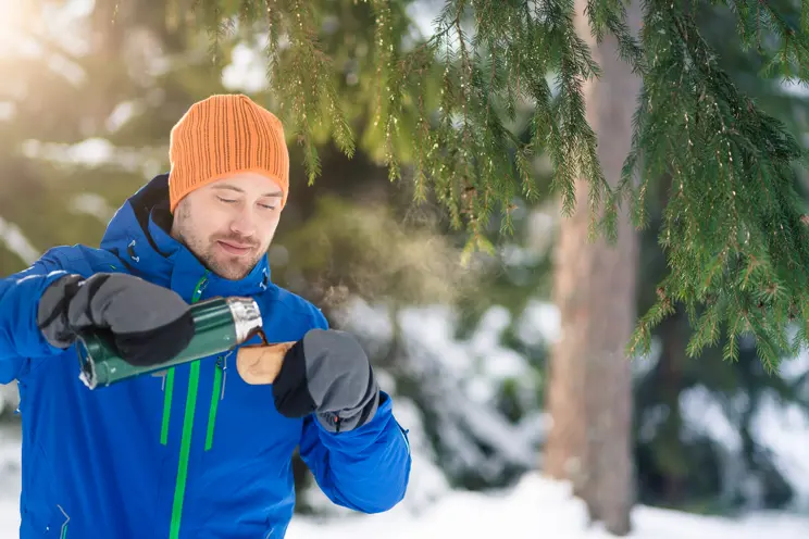 Se webinaret: ”Hur sköta skogen för bra avkastning och naturhänsyn?”
