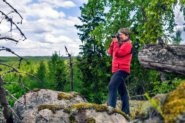 Mitä metsänomistaminen maksaa?