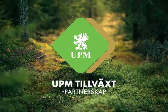 UPM_Metsa-kaksi-taimea-kump-SV.jpg