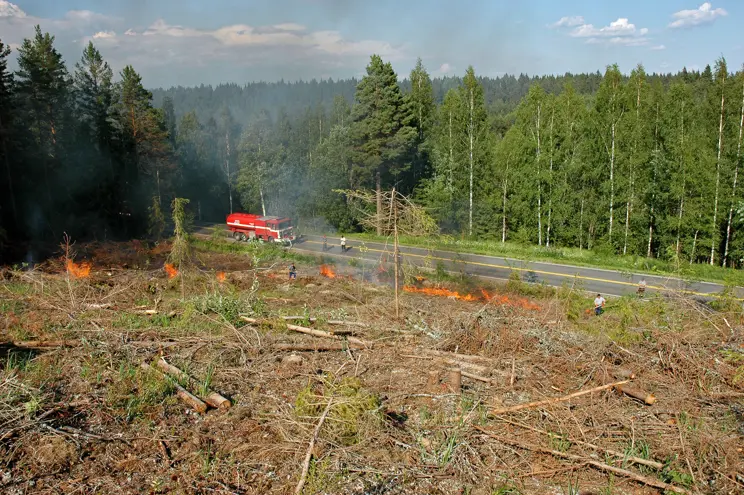 Hyggesbränning