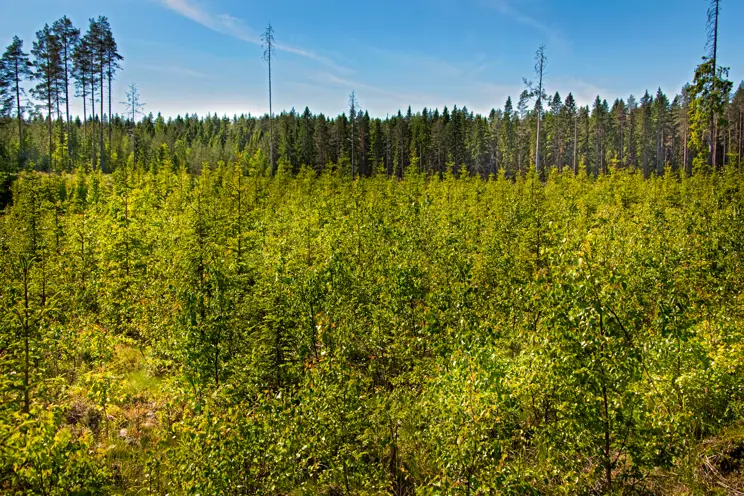 Tukia ei kannata jäädä odottamaan