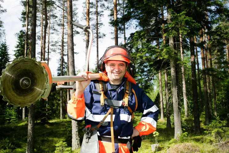Raivaussahalla metsä ja kroppa kuntoon Raivaussahalla metsä ja kroppa kuntoon