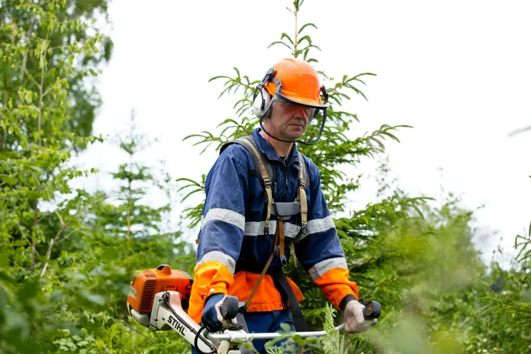 Metsänhoitotöiden toteutus Metsänhoitotöiden toteutus