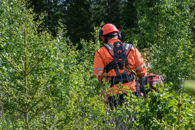 Skogsvårdsarbeten Skogsvårdsarbeten