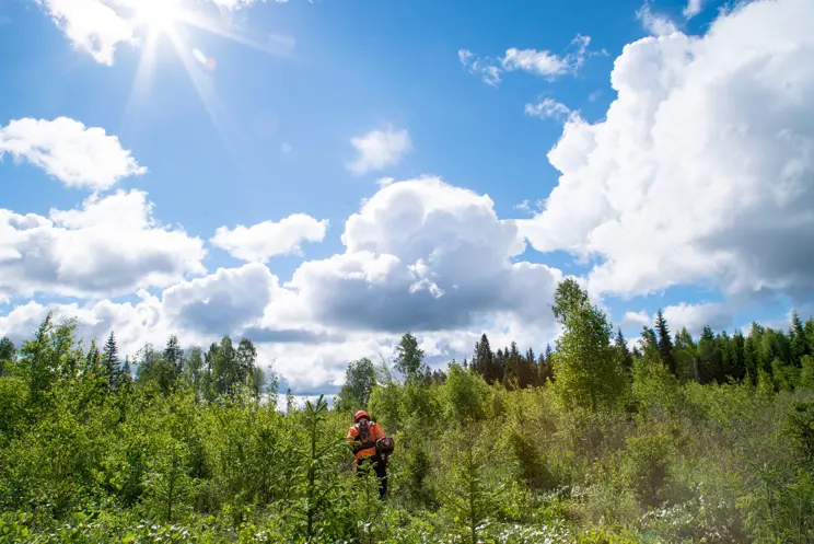 Perehdy metsänhoidon perusteisiin Perehdy metsänhoidon perusteisiin