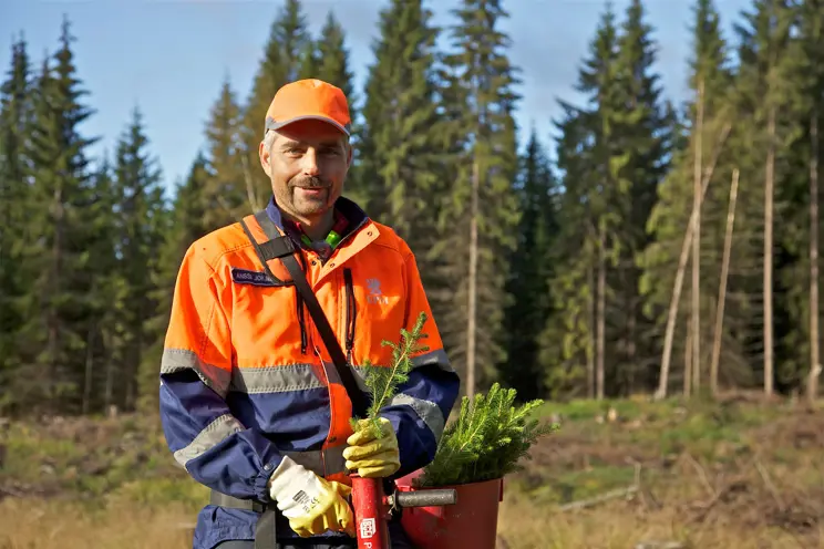 Metsäpalvelu Metsäpalvelu