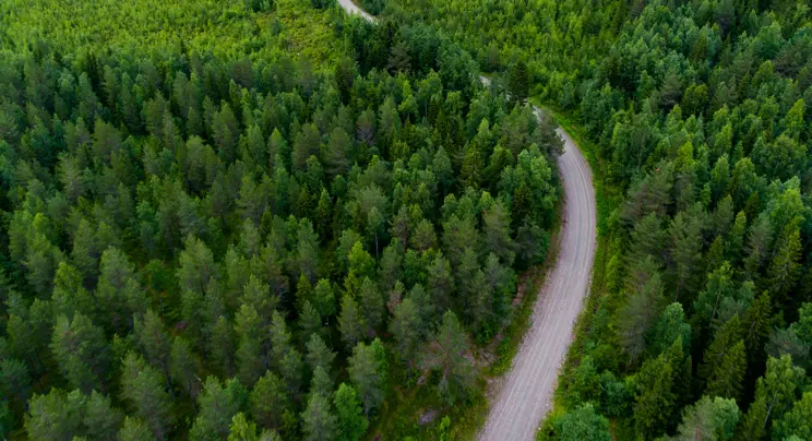 Fördomsfrihet och forskningsdata till nytta i valet av avverkningssätt