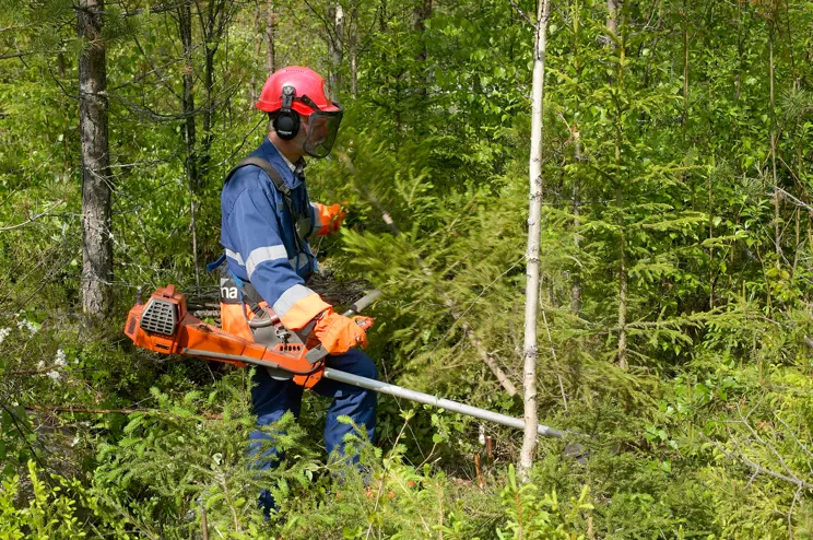 Miten ja paljonko saan Kemera-tukea? Miten ja paljonko saan Kemera-tukea?