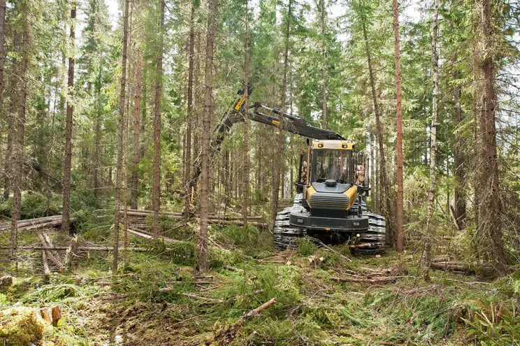 Besegra höstens menföre med god planering Besegra höstens menföre med god planering