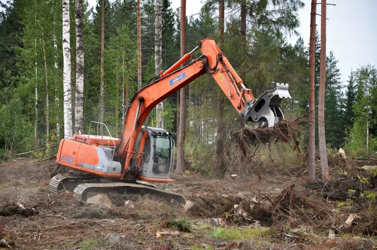 Miljöeffekter av användningen av skogsenergi