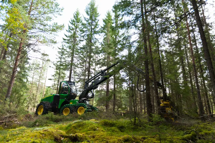 Metsätyönäytös Ylitornio