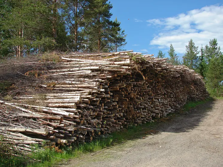 Pienpuun korjuu metsäenergiaksi Pienpuun korjuu metsäenergiaksi