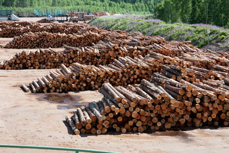 Bekräftande av virkets ursprung Bekräftande av virkets ursprung