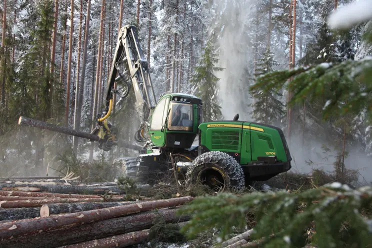 Hakkuutyönäytös Punkalaitumen Liitsolassa Hakkuutyönäytös Punkalaitumen Liitsolassa