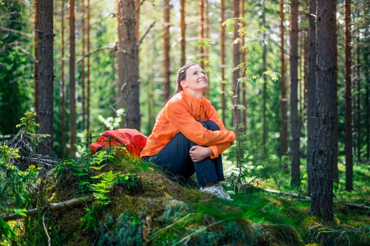 Naisten metsäilta Joroinen Naisten metsäilta Joroinen