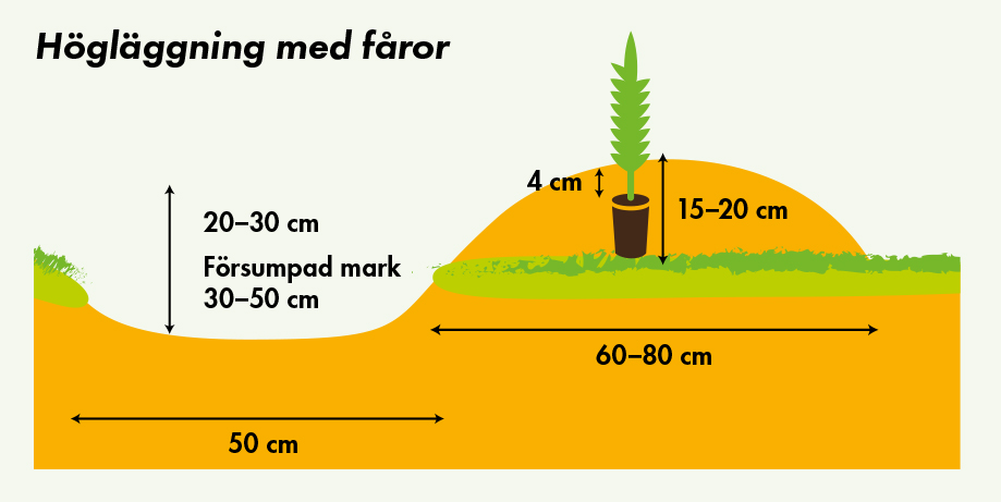 naveromatastys-upm-skog.jpg