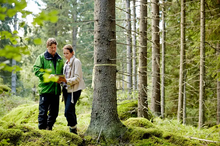 UPM FSC® -ryhmäsertifiointi UPM FSC® -ryhmäsertifiointi